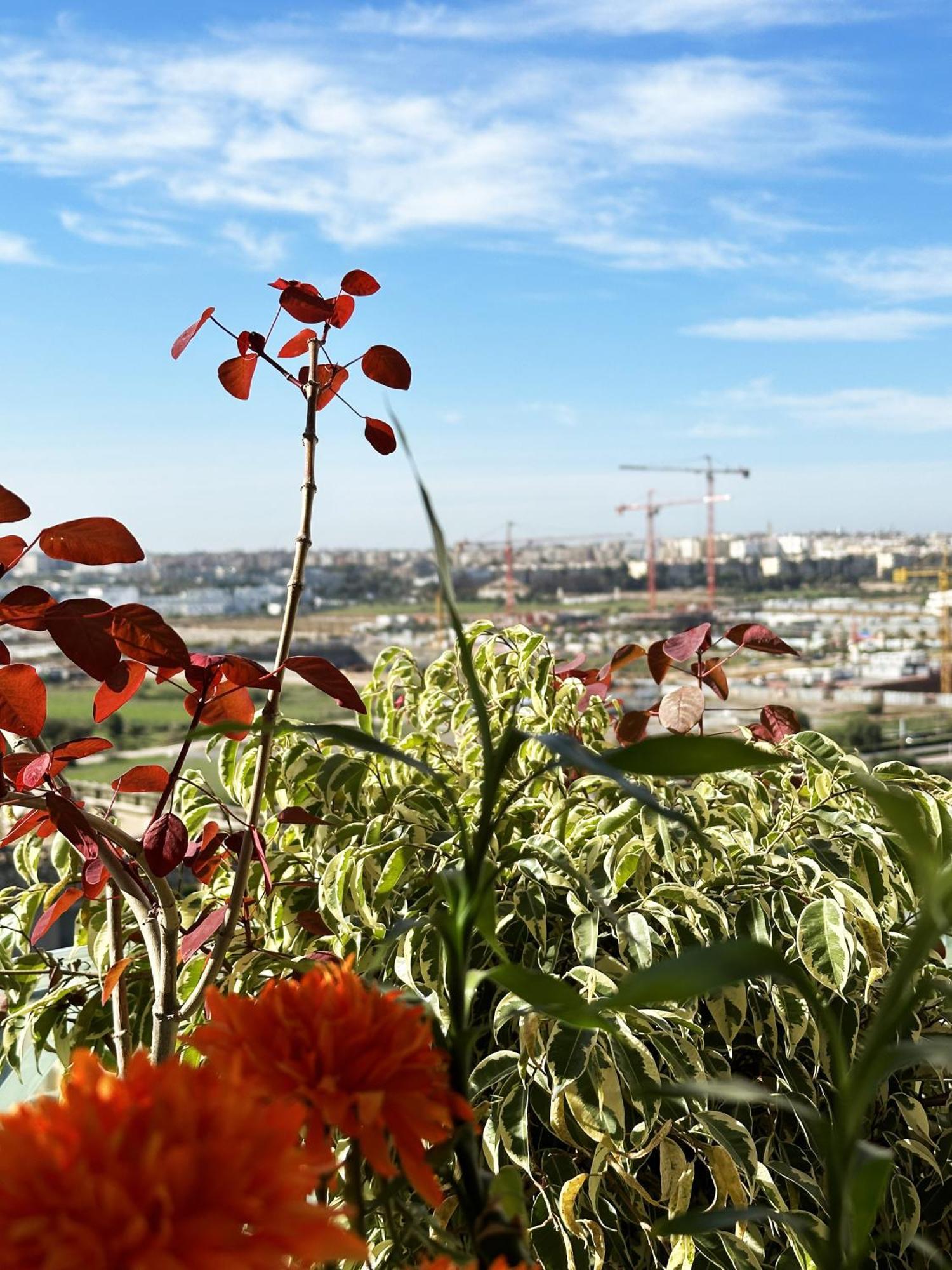 Anfa Louise Appartement Casablanca Buitenkant foto